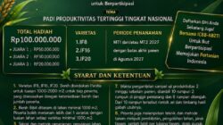 Daftar Sekarang, Lomba Padi ICBB-AB2TI 2027 Menangkan Hadiah Puluhan Juta Rupiah