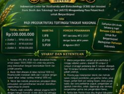 Daftar Sekarang, Lomba Padi ICBB-AB2TI 2027 Menangkan Hadiah Puluhan Juta Rupiah